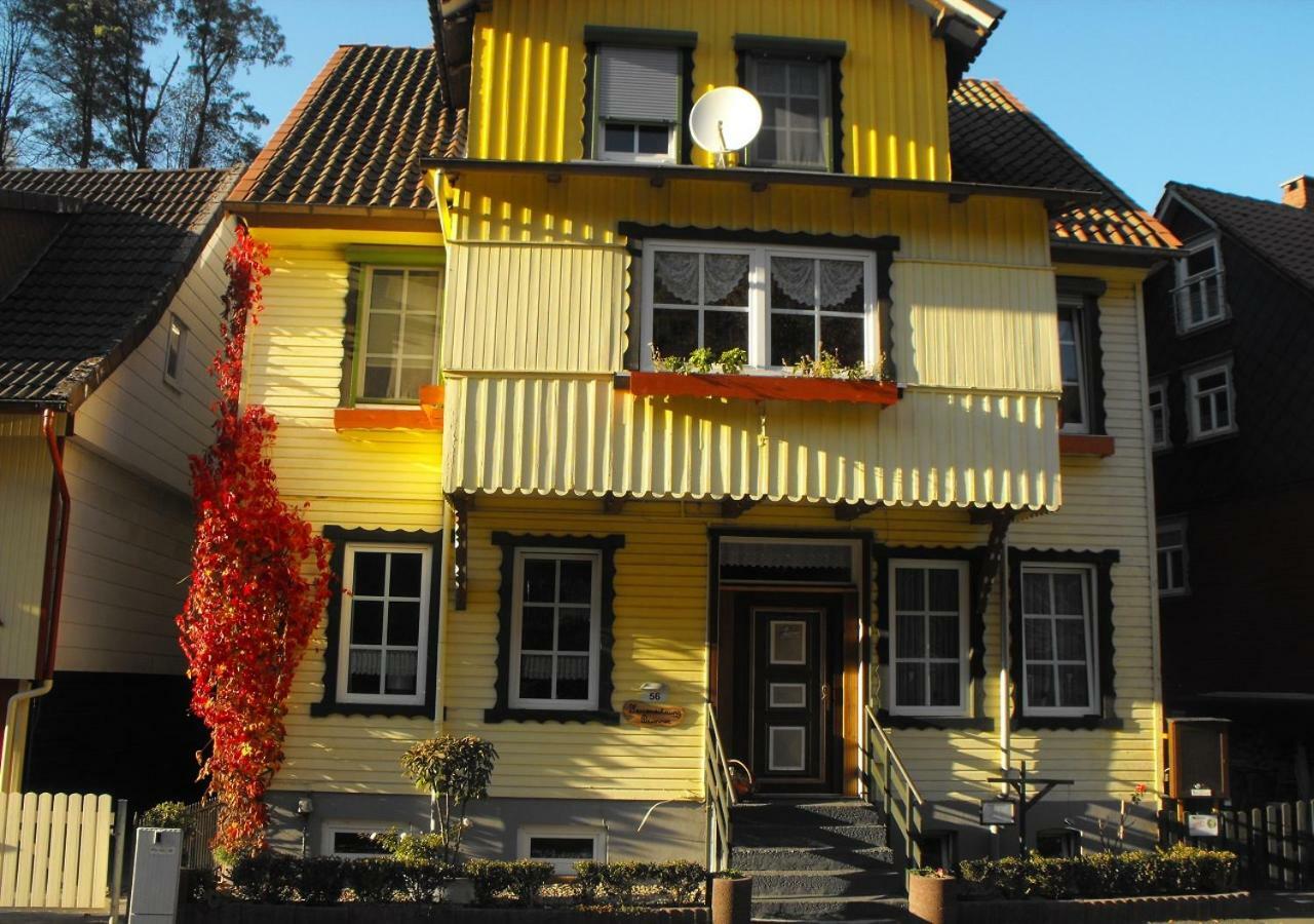 Brummers Ferienwohnung Wildemann Kültér fotó